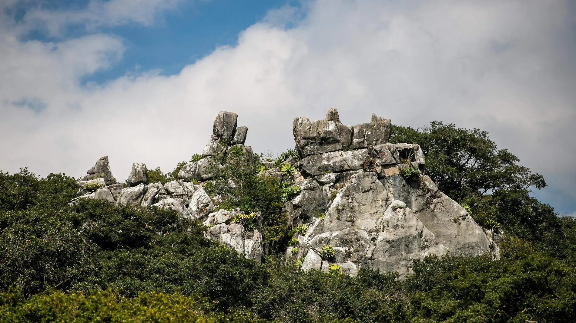 Encuentro Biocultural en Valle de los Fantasmas (13)